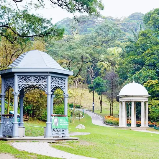 山顶缆车缓缓上行