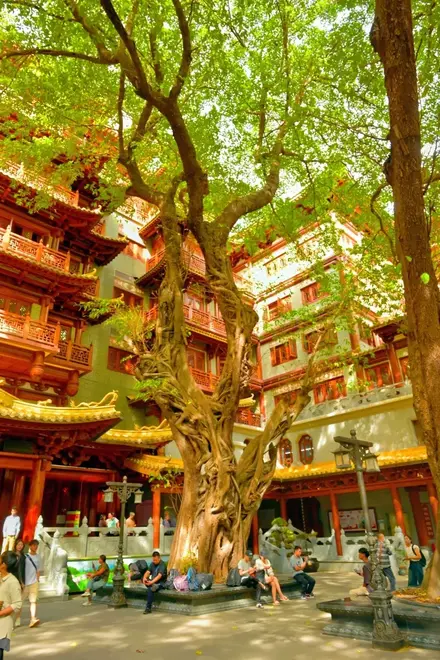 沙面岛的殖民时期大宅